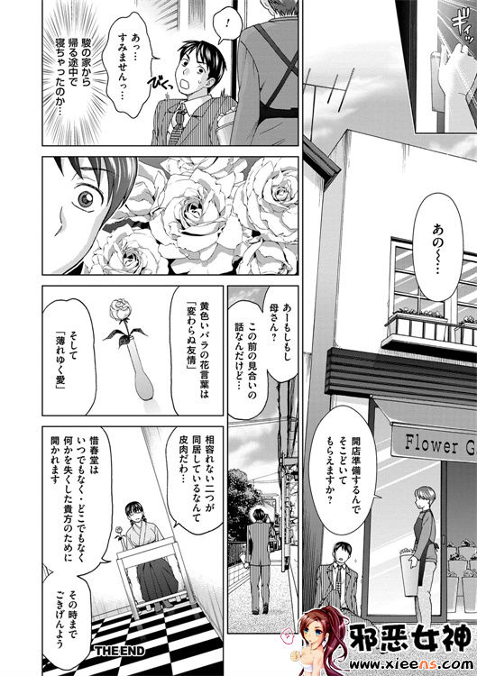 日本邪恶少女漫画之妻子中的娼妇和淑女