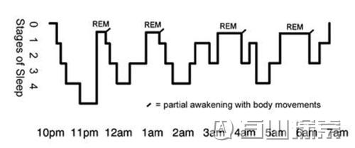 达芬奇睡眠法