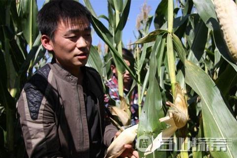 明星回老家，谁更接地气？