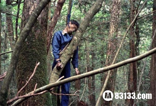 日本自杀森林