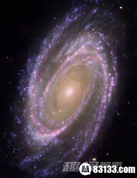 M81