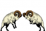 羊的文化象征：孕育文化启发智慧