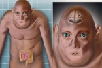 科学家推测1000年后的人类样貌：