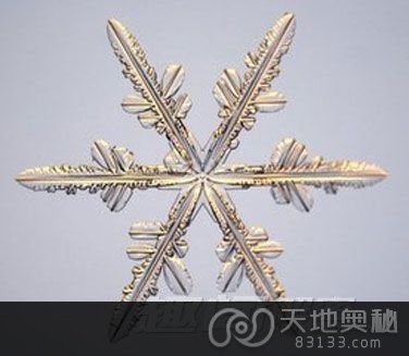 雪花