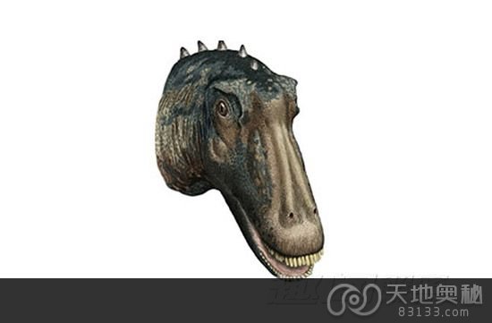 侏罗纪晚期的恐龙