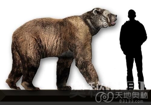 揭秘洞熊灭绝的真正原因