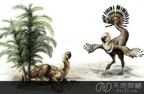 偷蛋龙属又名窃蛋龙，生活在白垩纪，与霸王龙的关系很近