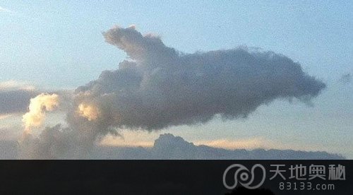 海豚状的云彩