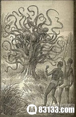 传说中的食人树