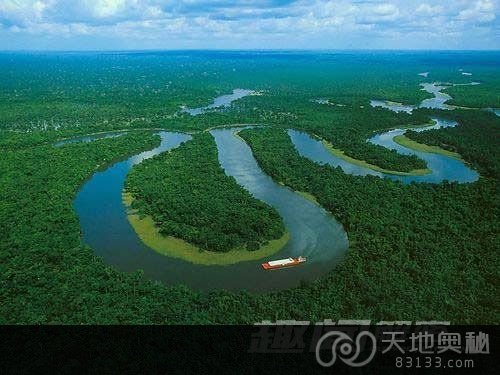 亚马逊丛林