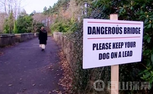 科学解释英国鬼桥事件 600只狗跳桥自杀