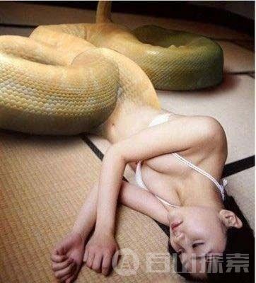 人头蛇身美女真实存在 马来西亚惊现人头蛇身美女
