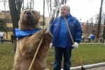 战斗民族俄罗斯人能否与熊和平共