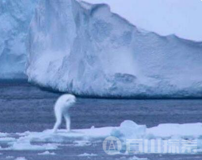 南极洲拍摄到的30公尺高巨人 谜团终于解开