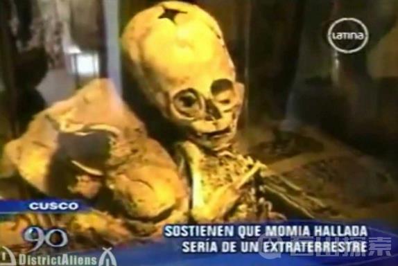 秘鲁博物馆惊现神奇骸骨：头骨巨大疑似外星人