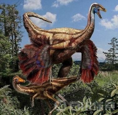 许多恐龙长有羽毛却不会飞行
