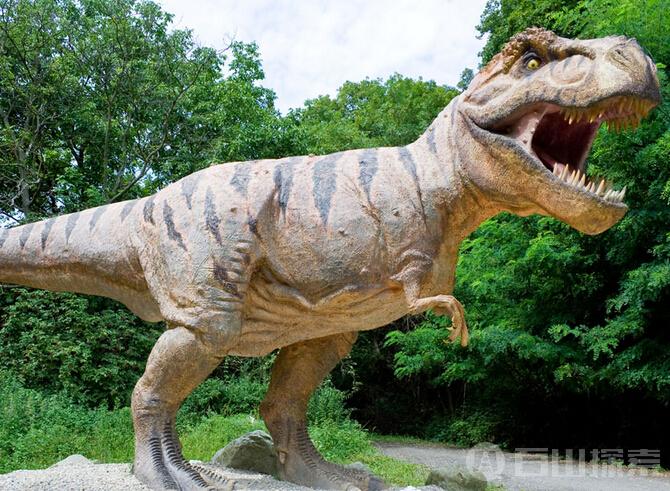 恐龙从地球上灭绝的未解之谜