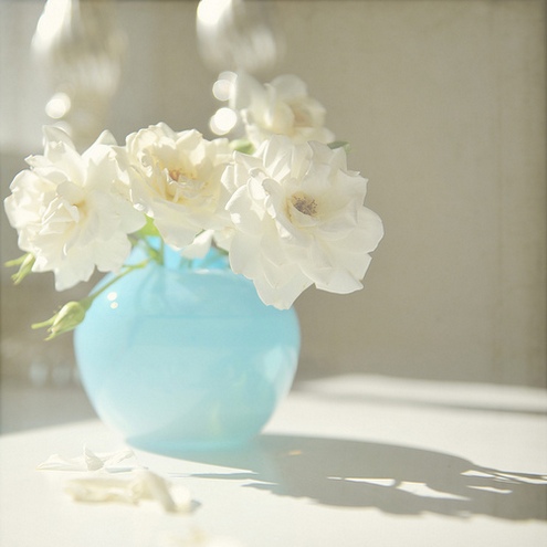 淡雅的白色花朵唯美小清新图片