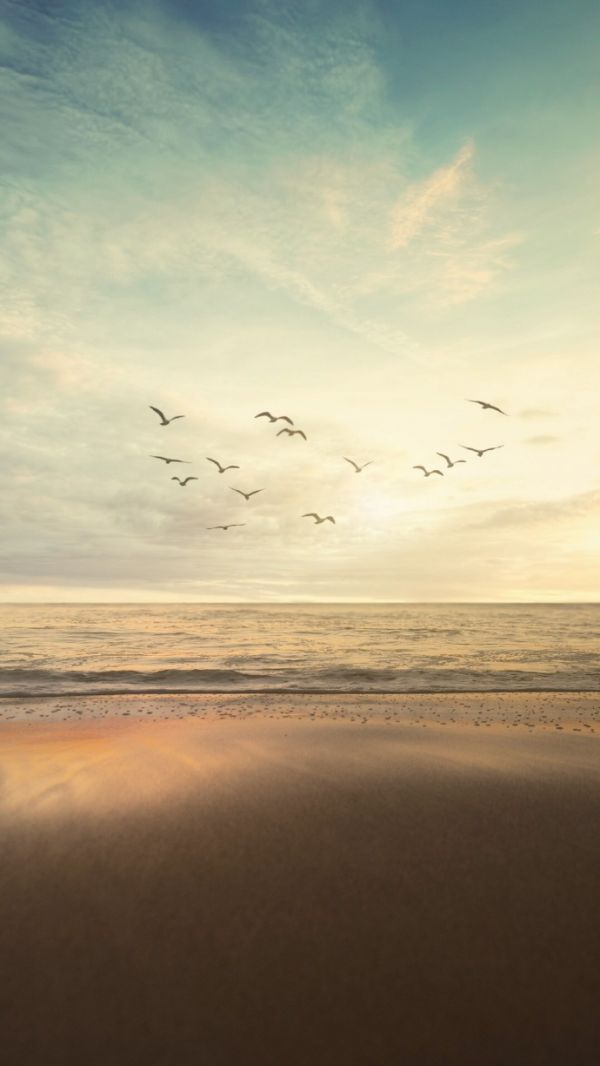 浪漫的海边风景高清手机壁纸唯美图片