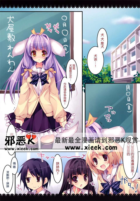 邪恶少女漫画健気猫娘