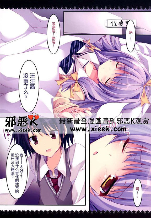 邪恶少女漫画健気猫娘