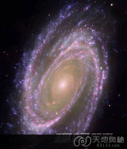 M81