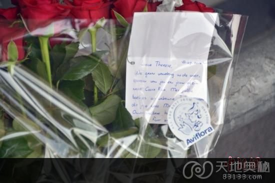 图为民众在荷兰斯希波尔机场3号航站楼外鲜花悼念马航逝者。中新社发 龙剑武 摄
