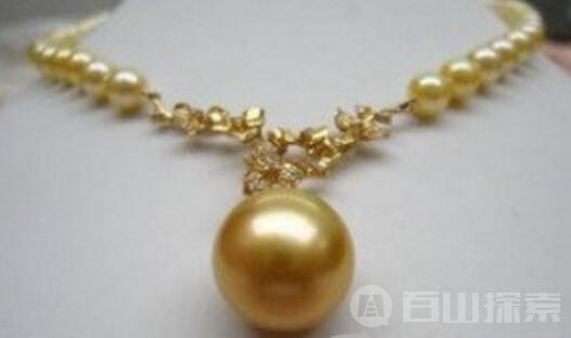  金珍珠你见过没 全球每年只产100公斤