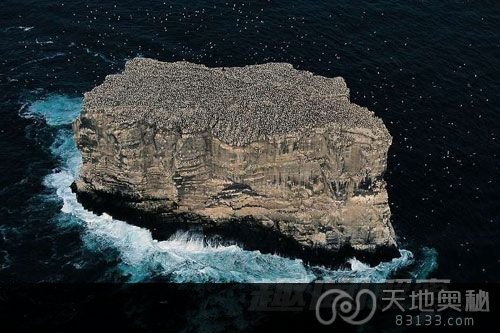 外星人海底信号系统说