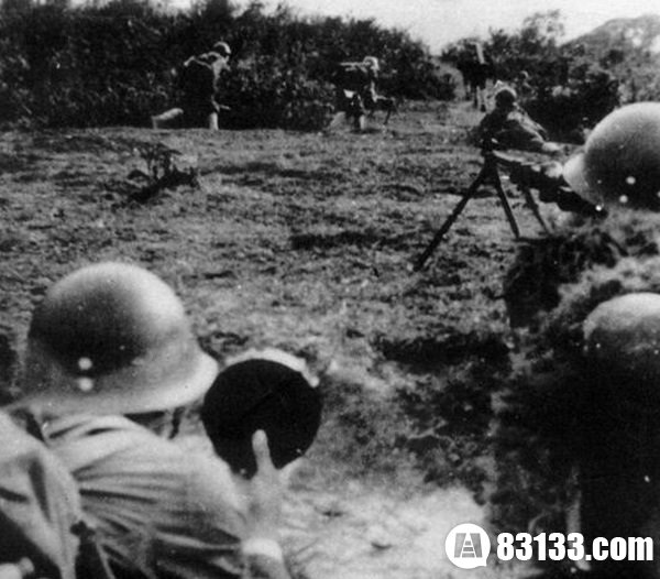 316a师又称“白颊鸟师”，是越南人民武装力量英雄单位，于1951年5月在谅山地区成立。下辖步兵174团、98团、176团，首任师长黎广波，政委朱辉珉。抗法战争结束后，176团调离该师，148团调归该师建制。1958年，该师炮兵营扩建为187炮团。 316a师在历史上曾参加过抗法、抗美战争、解放南方战争、中越边界战争。抗法战争期间参加了在越北部战场许多重要战役。抗美战争期间，316师常年还在老挝执行“国际主义任务”，主要转战于查尔平原地区，参加了南塔战役、9号公路下寮战役、查尔平原-川圹战役。