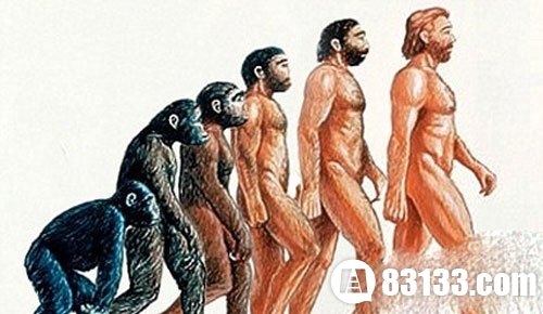 人类 揭秘 诞生 进化论