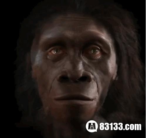 揭秘人类脸部进化史 ：越来越耐打？