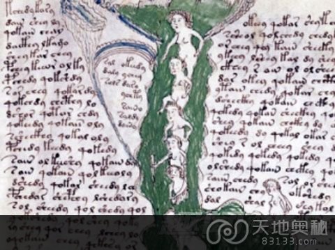 19ָ壨Voynich manuscript