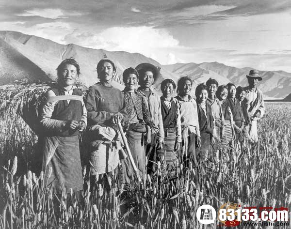 朗生互助组 　　1963年，西藏乃东县桑嘎村的十一户“朗生”(藏语意为“家里养的”，即奴隶)民主改革后分得了土地和房子，但生活仍然贫穷。他们组织起了“朗生互助组”，经过三年艰苦奋斗，终于取得了农业和牧业生产双丰收。