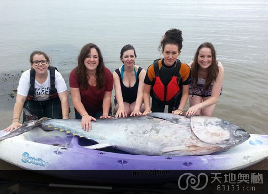 英国5名大学女生发现2米长蓝鳍金枪鱼，价值65万英镑。