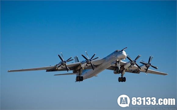 俄空军司令：俄远程航空兵图-95飞机将达43架