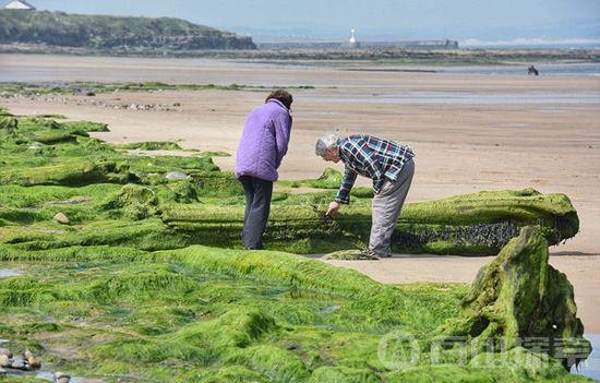 英北海岸退潮惊现7000年前人类足迹