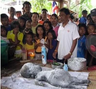 泰国母牛生下人形怪物 村民香火供奉