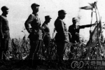 1937年南京保卫战中整团为何离奇