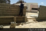 利比亚1所大学修建隔离墙将男女学生分开(图)