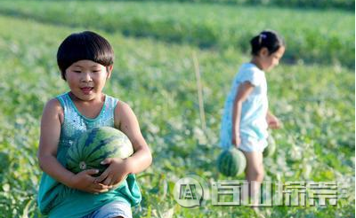 2016年最好笑段子，已笑炸裂！