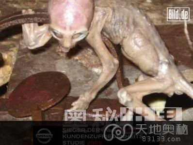 “外星人”事件大盘点