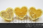 日本广岛使用改良模具后推出心形柠檬(图)