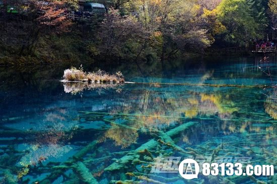 九寨沟五花海