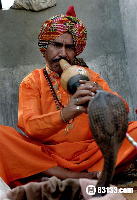 印度蛇人部落特别的习俗