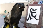 日本海狮能嘴叼毛笔写出汉字（图