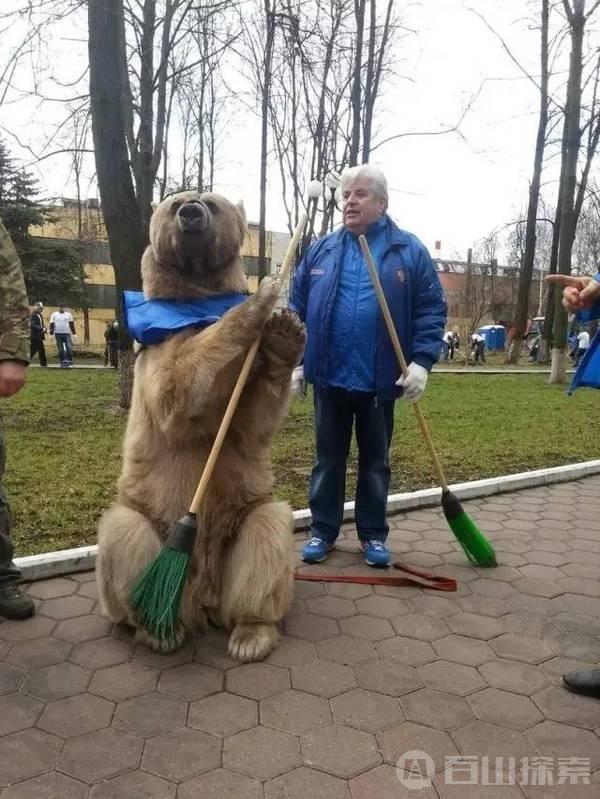 战斗民族俄罗斯人能否与熊和平共处？