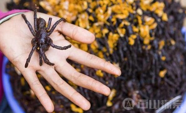 古怪食物你见过多少 你都敢吃吗？ 