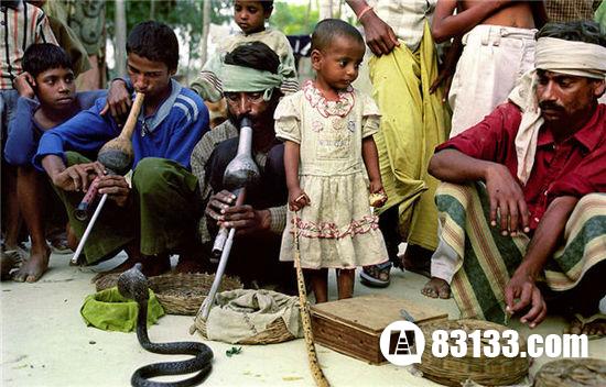 印度蛇人部落特别的习俗