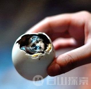 越南的毛鸭蛋
